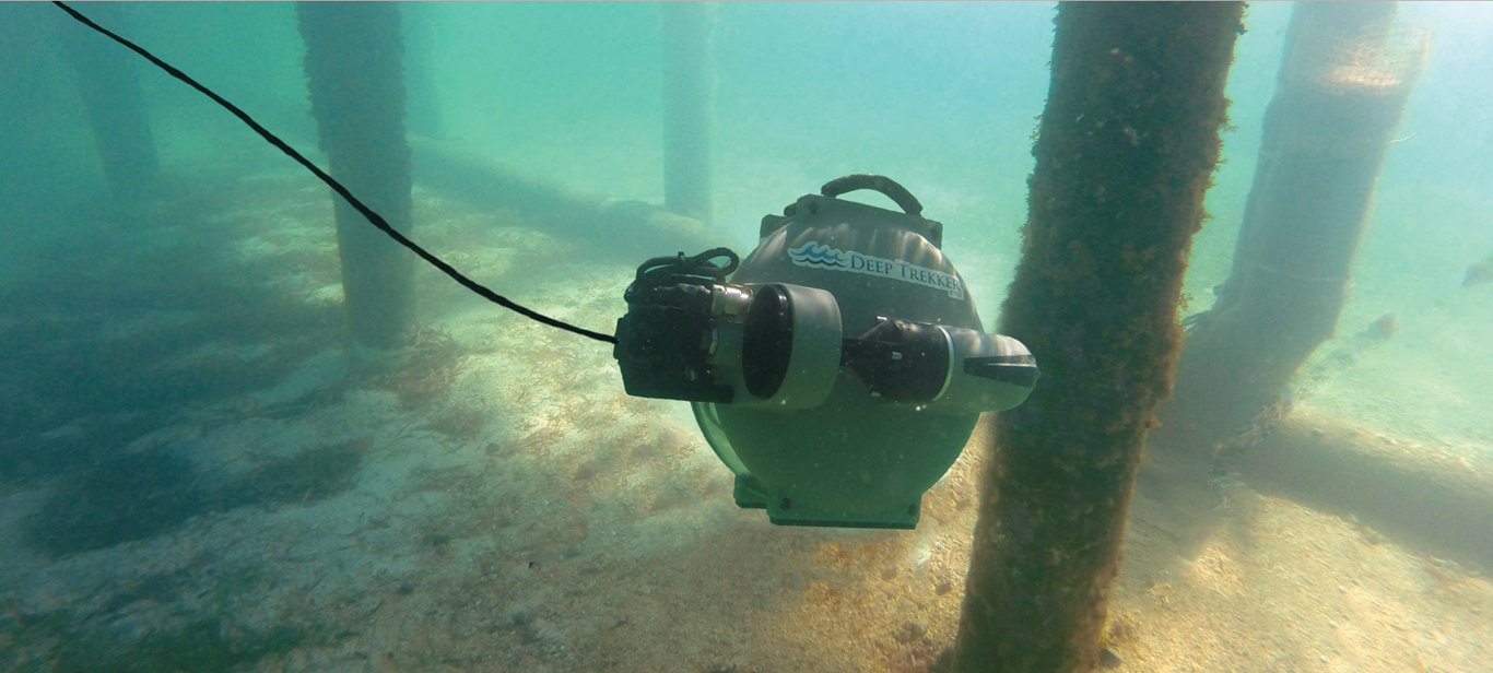 Commercial ROV